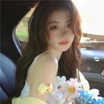 盗贼泰瑞莎
